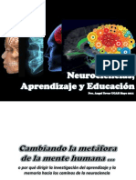 Version 2011 Neurocienciasyaprendizaje