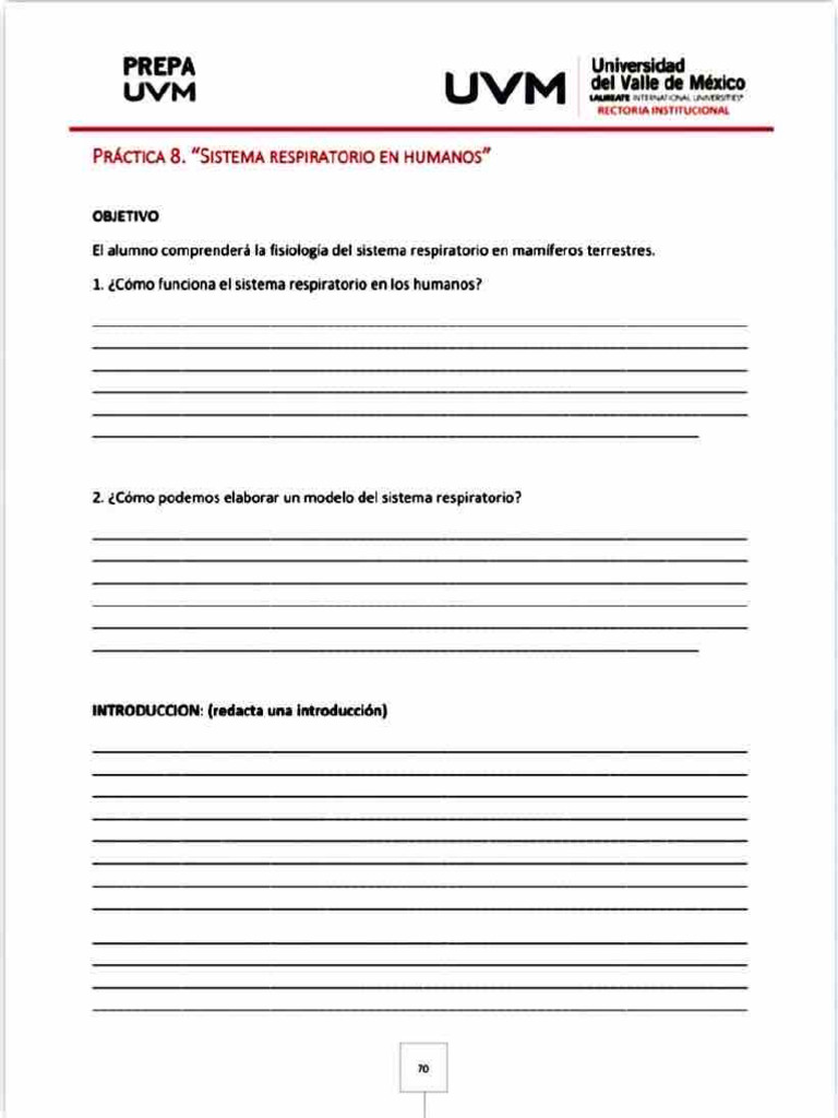 Practica 8 Fisica | PDF