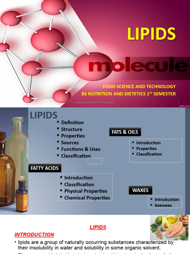 Understanding Lipids: Types and Functions | PDF | Lipid | Triglyceride