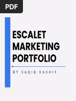 Portfolio - Facebook Ads