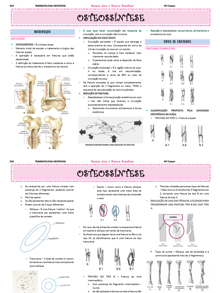 Princípios da Osteossíntese em Fraturas | PDF | Cirurgia ortopédica ...