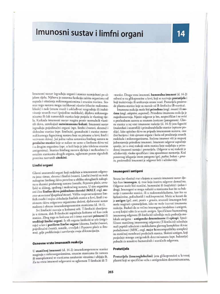 Imunosni Sustav I Limfni Organi | PDF