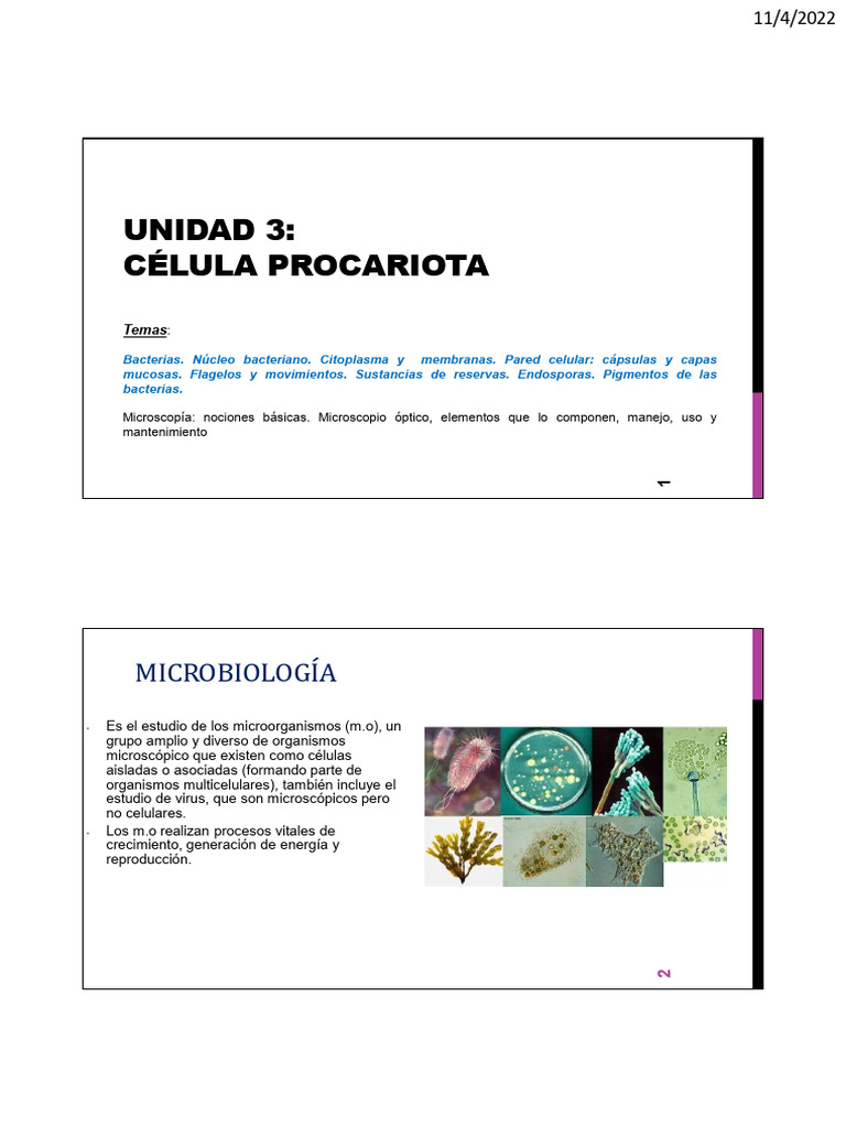 Unidad 3. Células Procariotas | PDF | Biología Celular) | Las bacterias