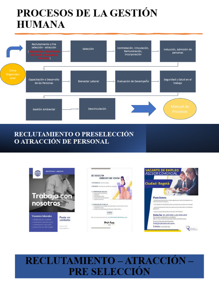 Procesos Del Talento Humano | Descargar gratis PDF | Reclutamiento