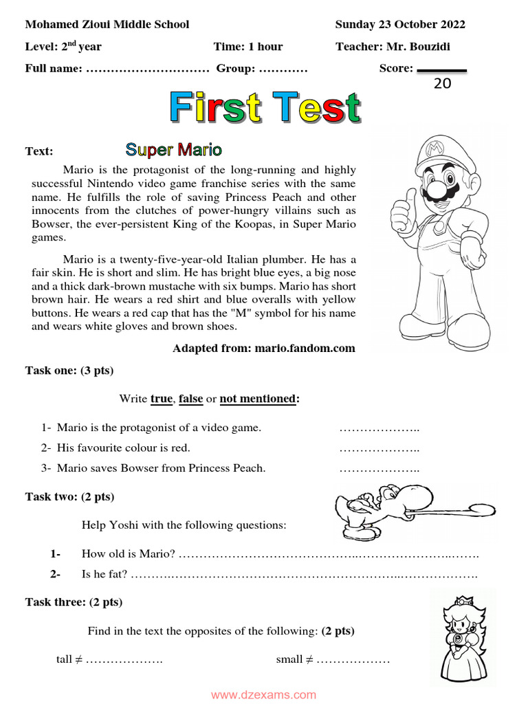 Mario Character Analysis Worksheet | PDF | Mario | Video Game Gameplay