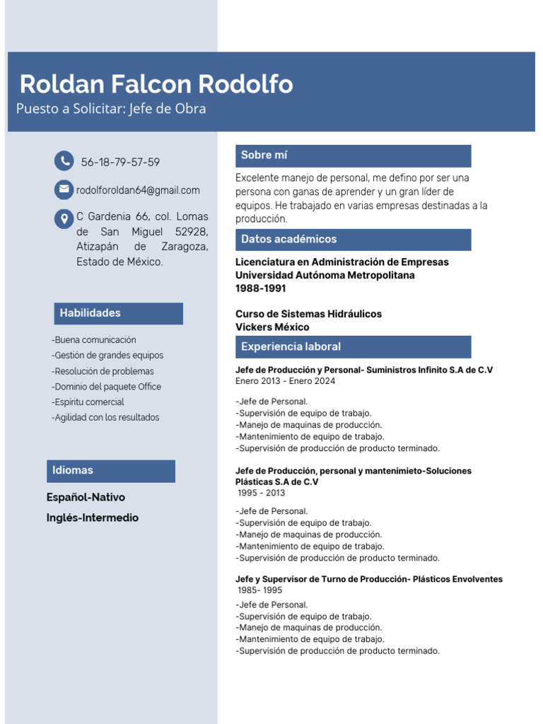 Perfil Profesional de Jefe de Producción | PDF