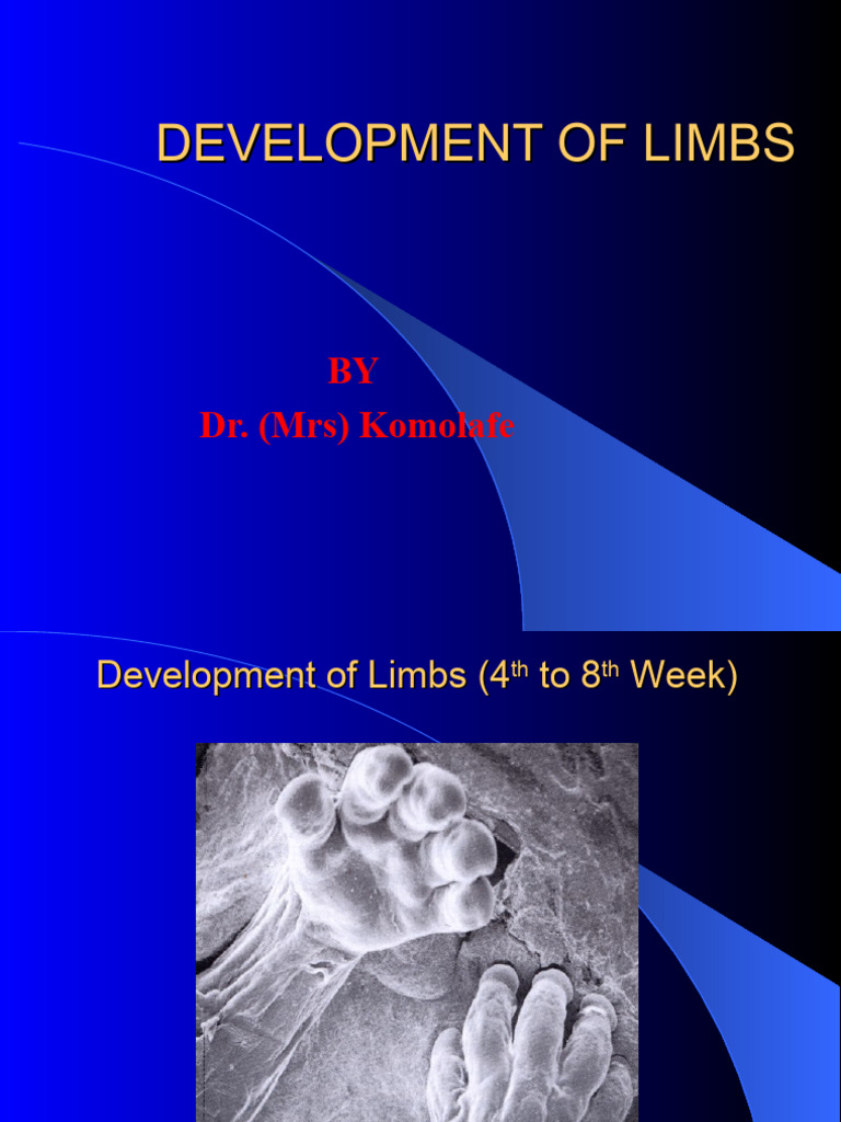 Limb Development Stages and Anomalies | PDF | Developmental Biology ...