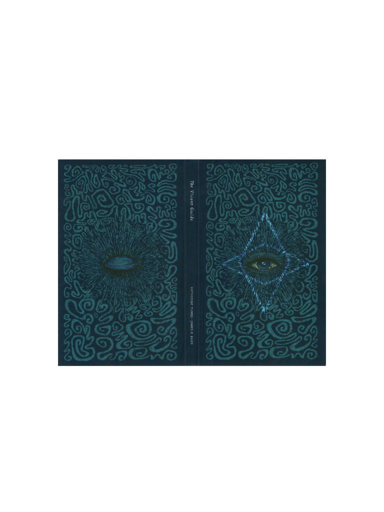 Open The Prisma Visions Guide | PDF