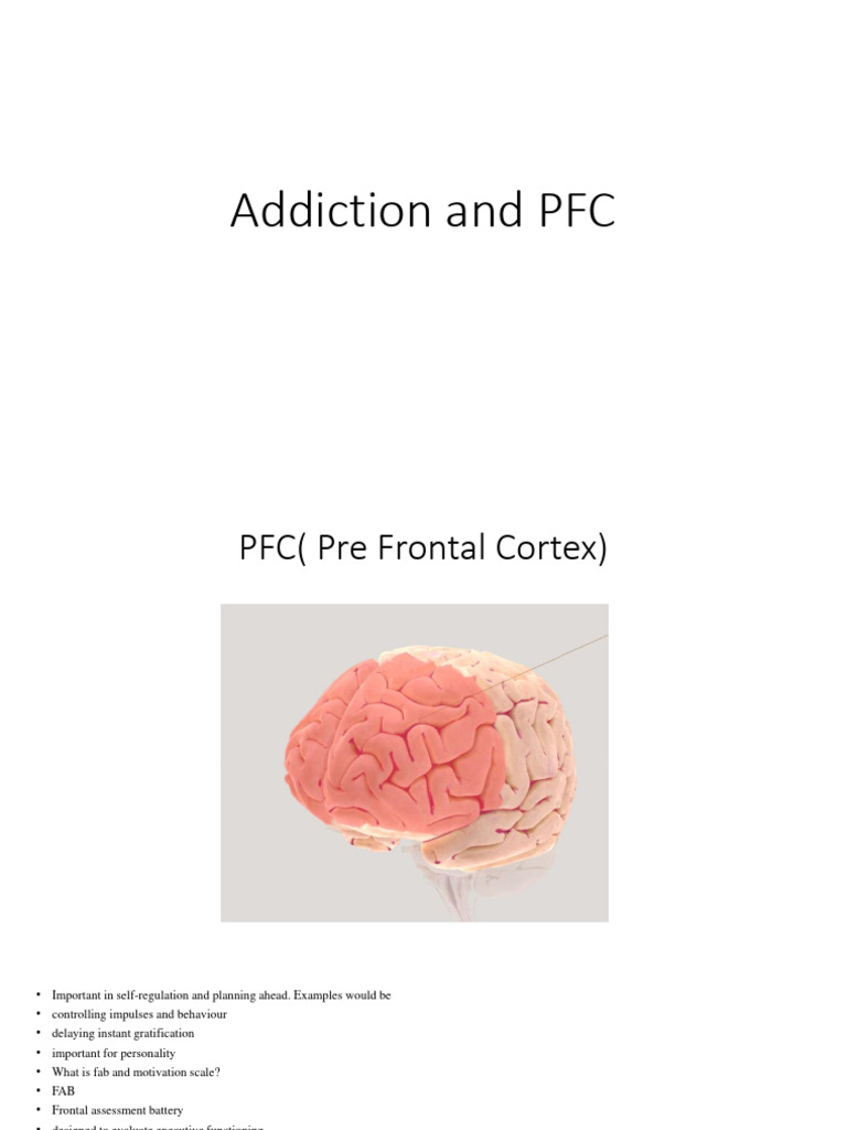Addiction and PFC and Other Documents | PDF | Prefrontal Cortex ...
