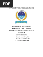 Zoology Practical Tapeworm Section B