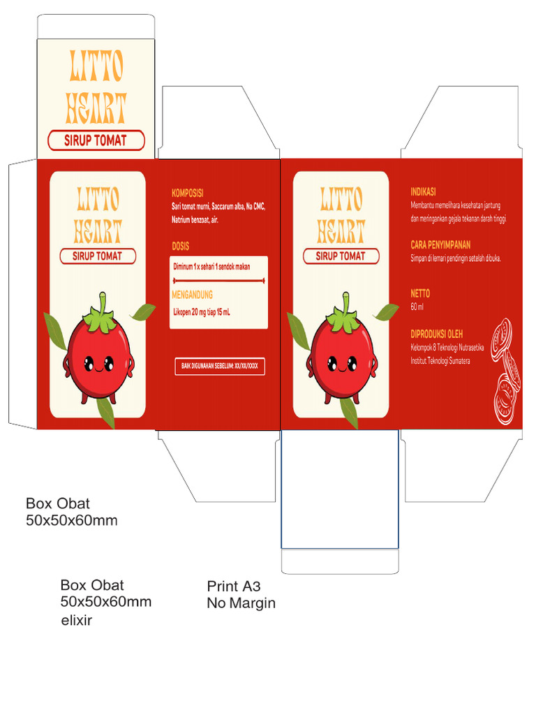Obat Analgesik dan Antipiretik Tisola, Urtiso, Lecavi | PDF