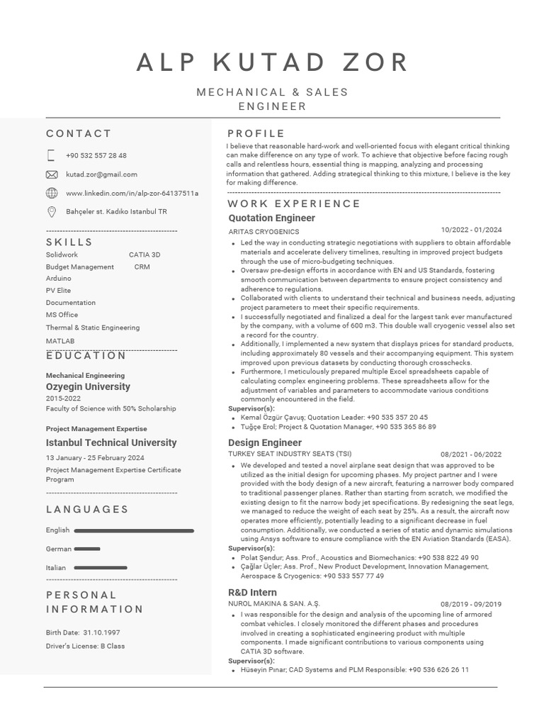 ALP KUTAD ZOR CV | PDF | Engineering