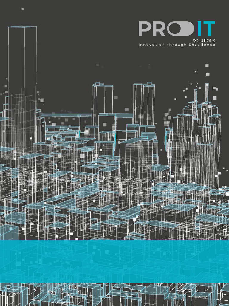 PROIT Solutions Company Overview | PDF | Data Center | Computer Network