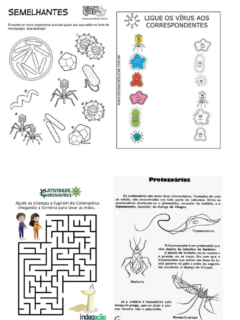Atividades adaptadas v rus bact rias e protozo rios pdf