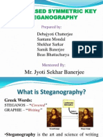 Steganography New