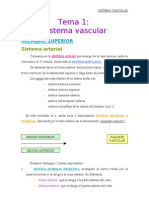 Sistema Vascular