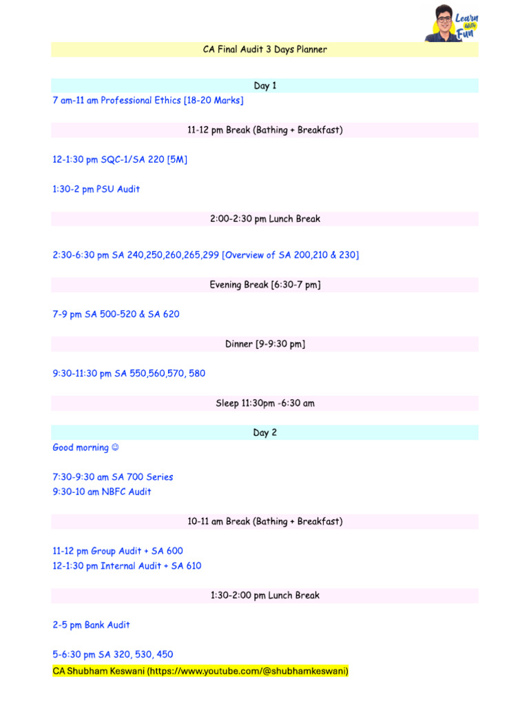 Audit Planner PDF