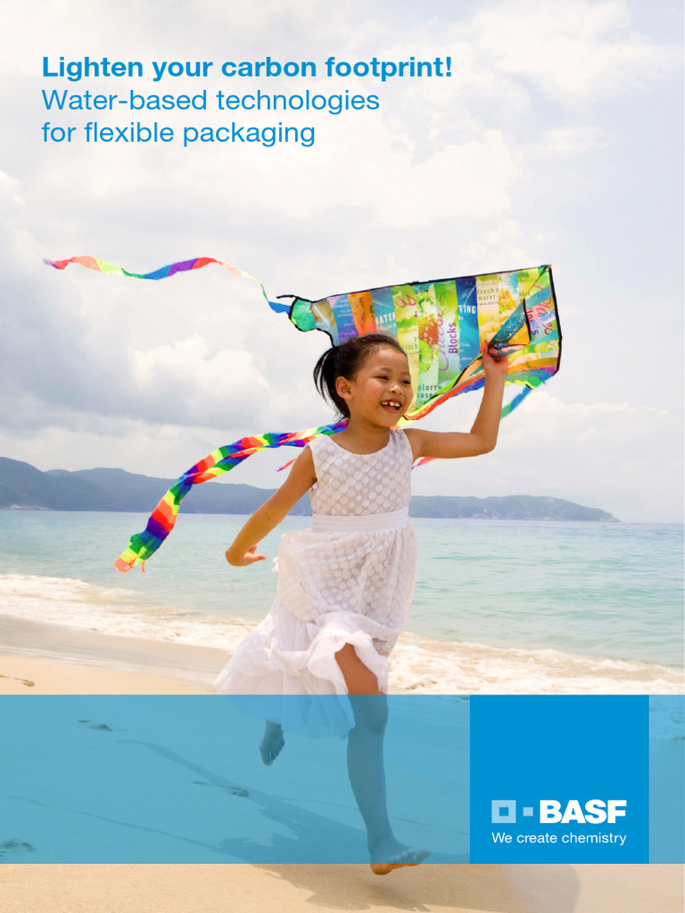 BASF Flyer Lighten Your Carbon Footprint | PDF | Life Cycle Assessment ...