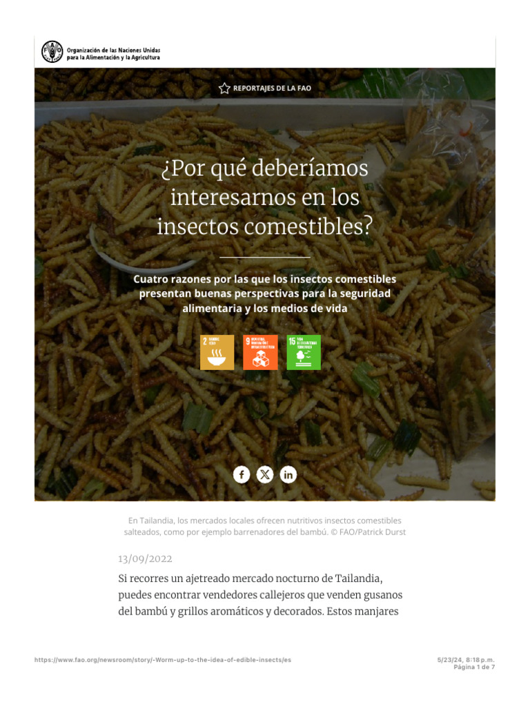 ¿Por Qué Deberíamos Interesarnos en Los Insectos Comestibles? | PDF