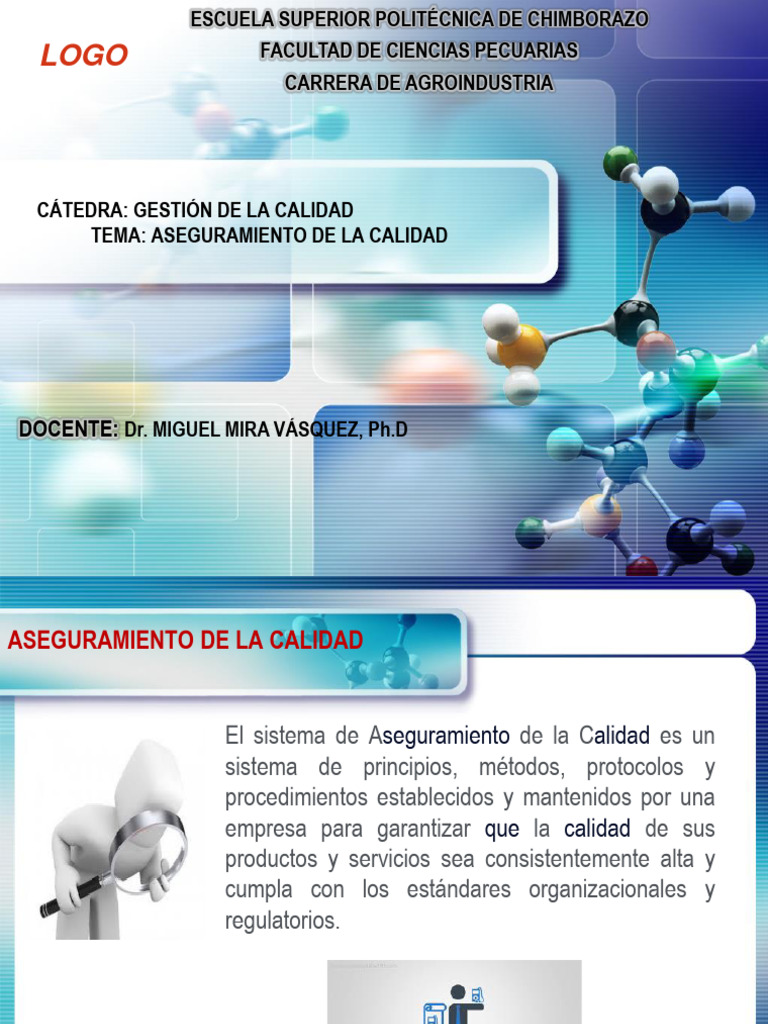 Aseguramiento de la Calidad en Agroindustria | PDF | Calidad (comercial ...