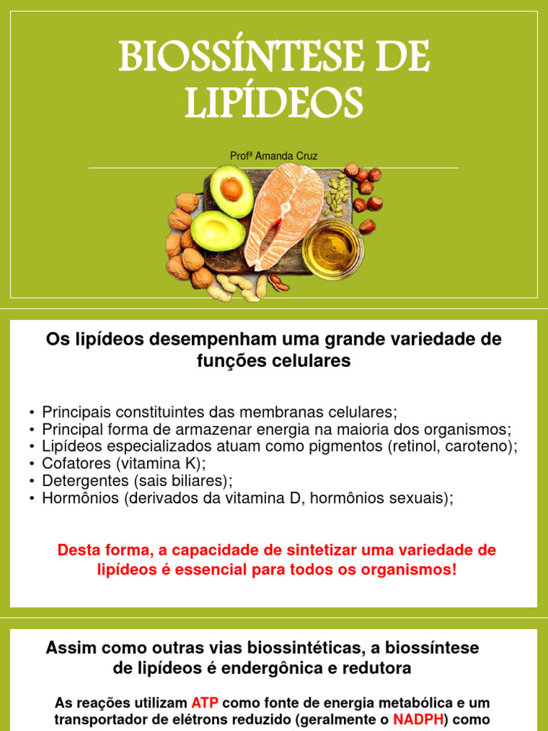 Biossíntese de Lipídeos: Funções e Processos | PDF | Colesterol ...
