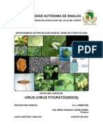 Manualdevirusvirusfitopatgenos 100823110237 Phpapp02