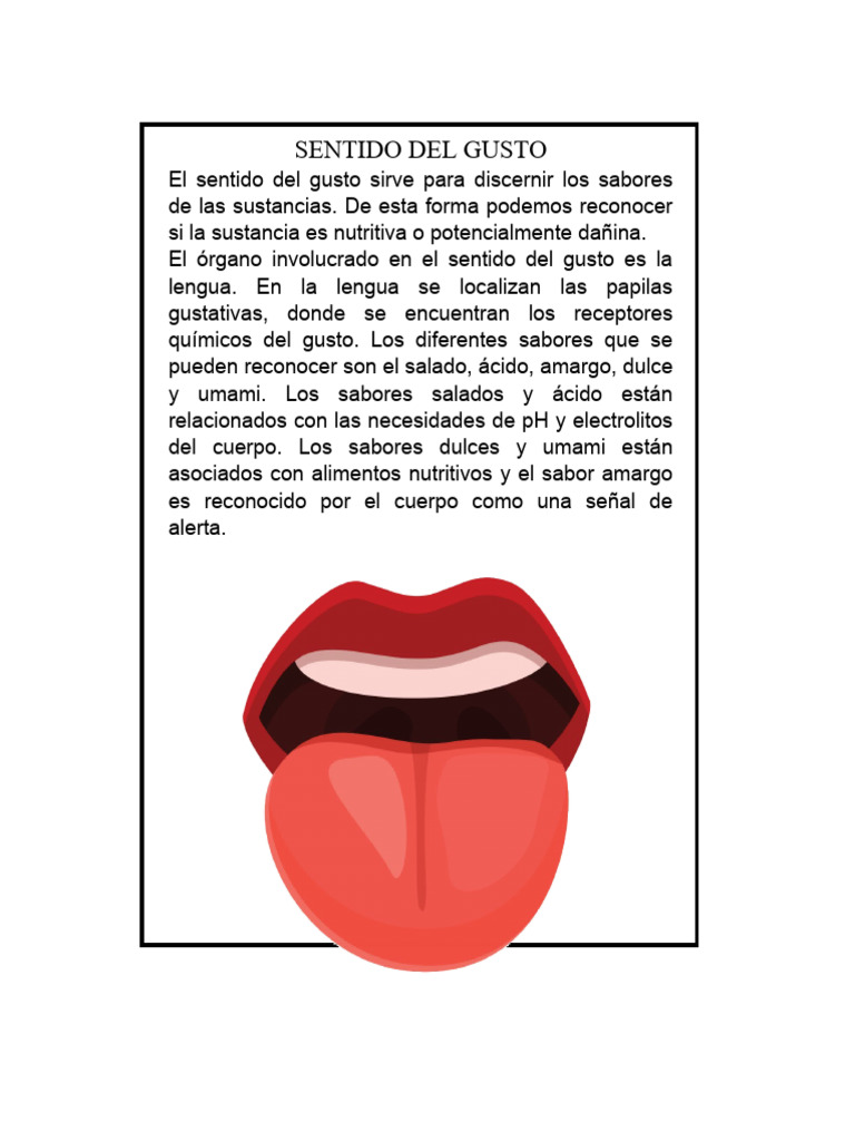 Sentido Del Gusto Pdf Sentidos Gusto