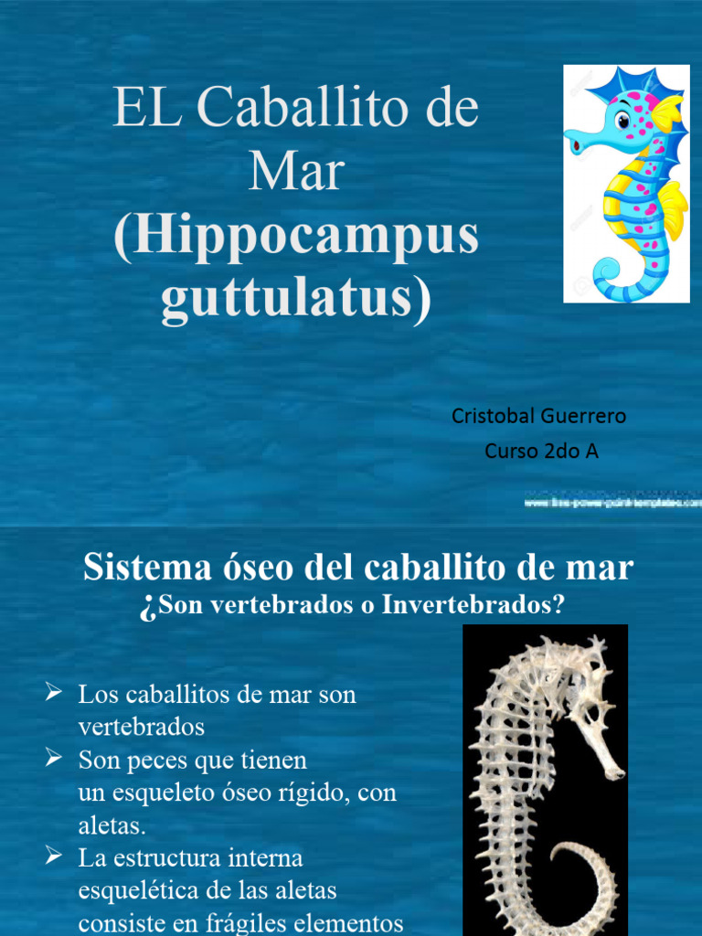 Ppt Cristobal Guerrero 2a Pdf