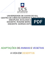 Adaptações à vida em desertos