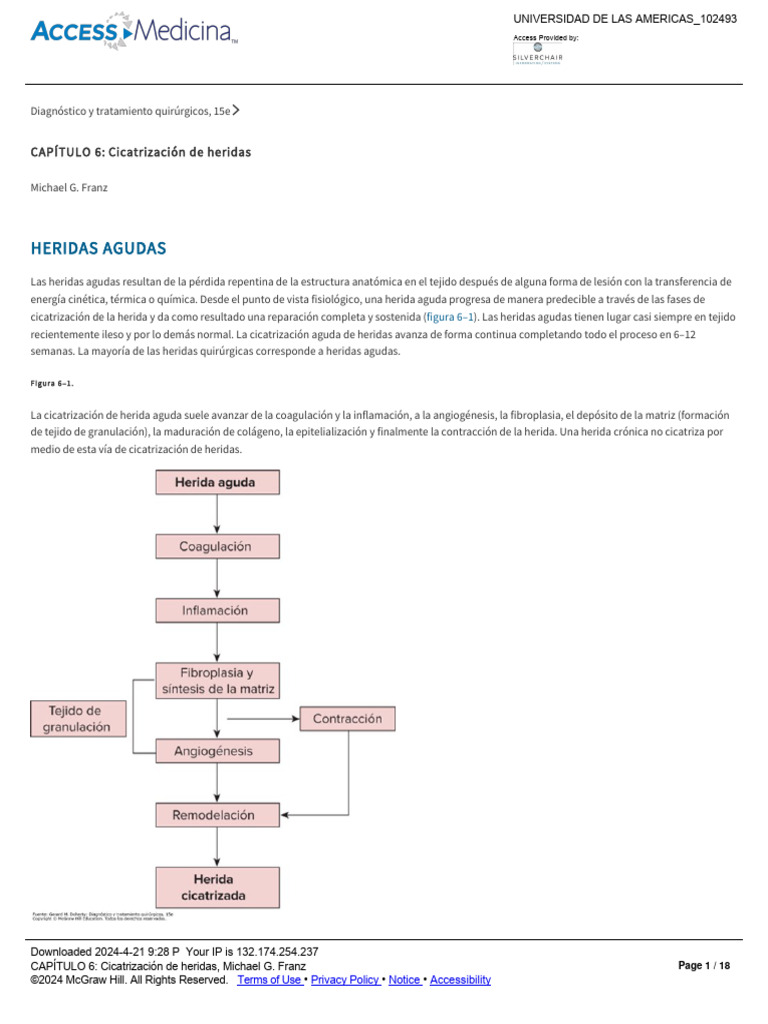 Capítulo 6 Cicatrización De Heridas Pdf Cicatrización De La