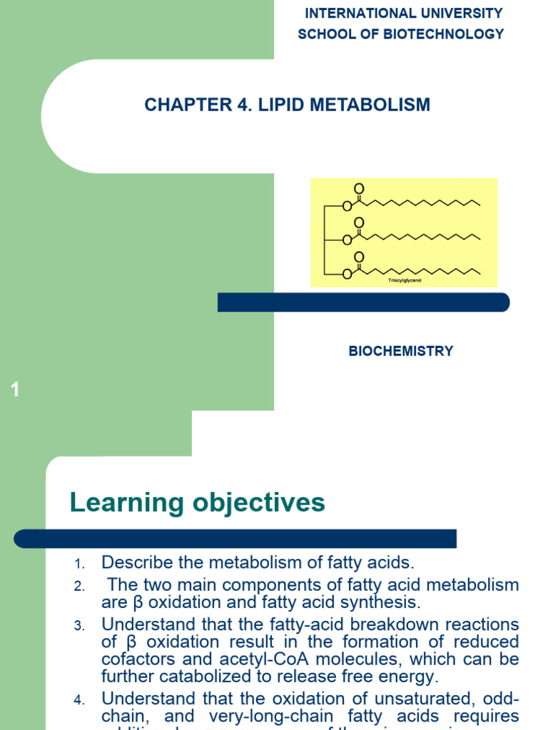 Fatty Acid Metabolism Overview | PDF | Adenosine Triphosphate | Fatty Acid