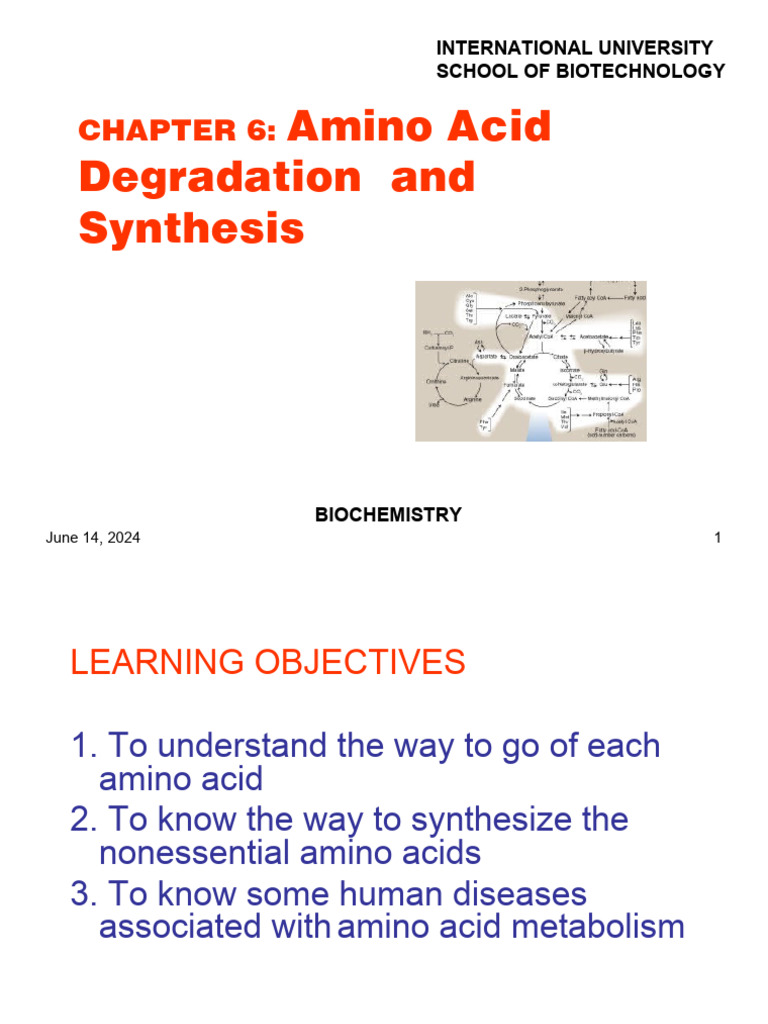 Amino Acid Metabolism Overview | PDF | Biosynthesis | Amino Acid