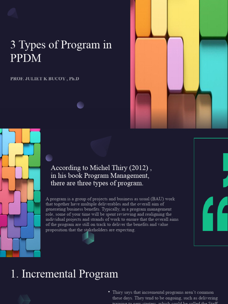 5 Types of Program Projects | Download Free PDF | Enterprise Resource ...