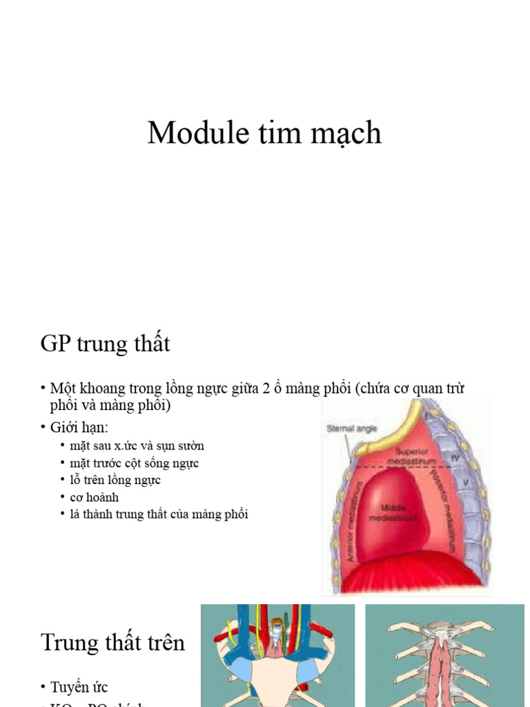 Module Tim Mạch (Hệ Tim) | PDF