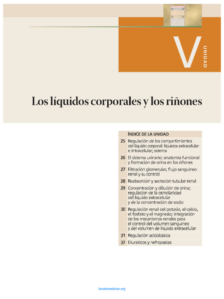 Liquidos Corporales y Los Riñones | PDF