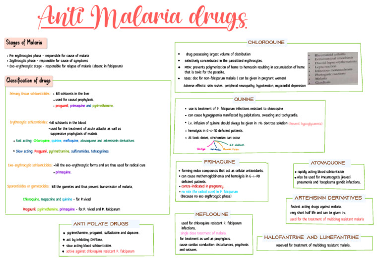 Classification visual data 4