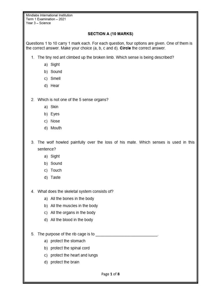 Year 3 Science Exam Questions 2021 | PDF | Muscle | Senses