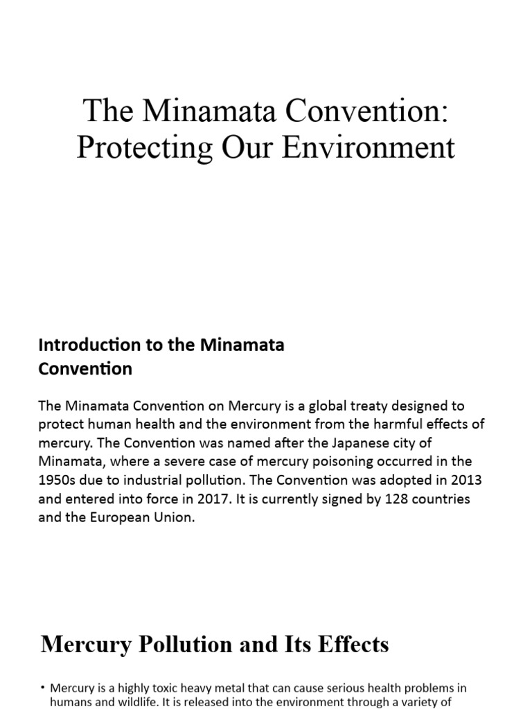 The minamata convention pdf mercury element pollution