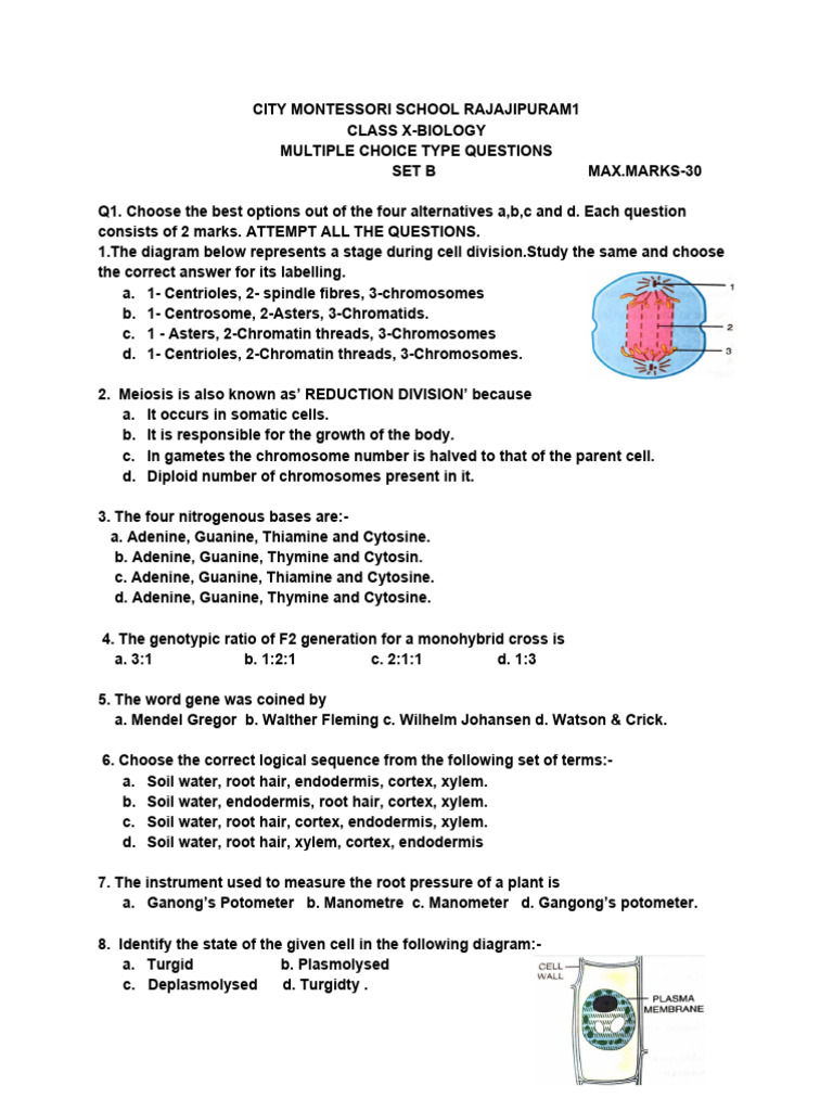 Class 10 Biology Mcqs Pdf Photosynthesis Chloroplast