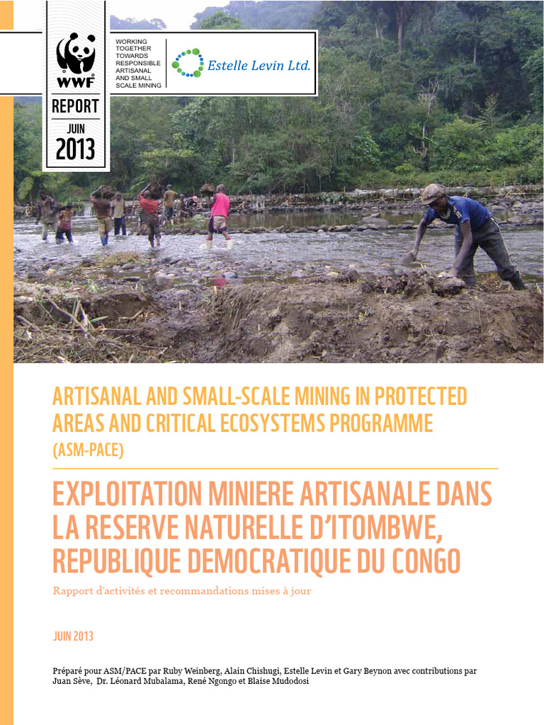 Rapport sur l'exploitation minière à Itombwe | PDF | WWF ...