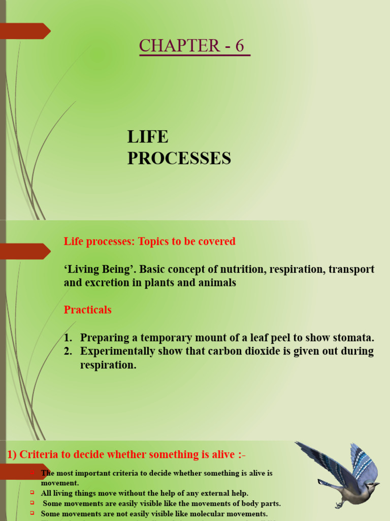 life-process-pdf-stomach-digestion