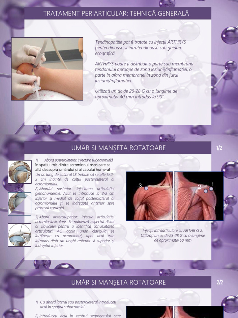Prezentare Protocoale | PDF