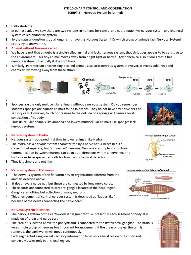 STD 10 Chap 7 Script 2 Nervous System in Animals | PDF | Nervous System ...