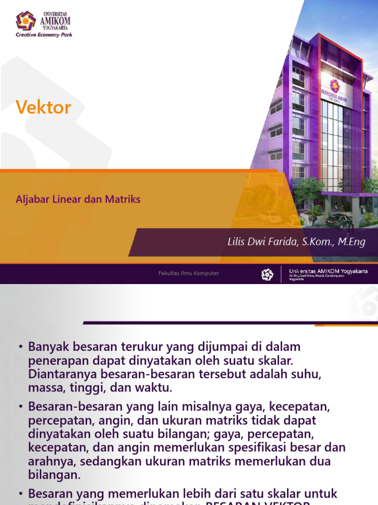 Vektor | PDF