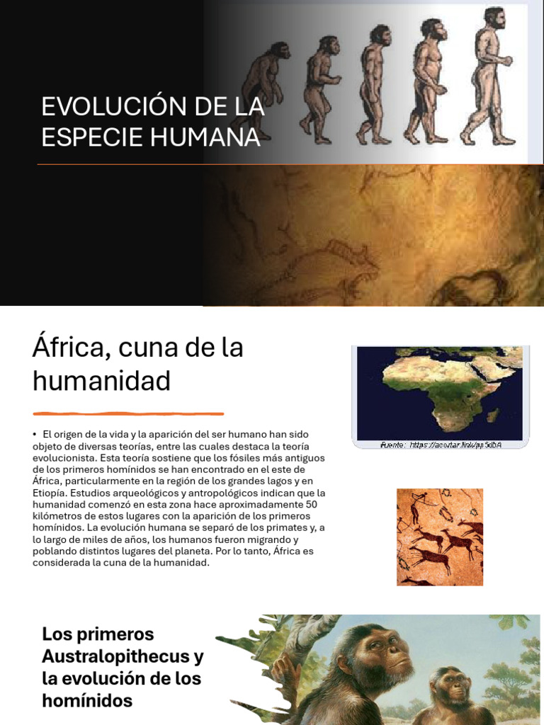 Presentacion Evolucion Del Hombre | PDF | Homo | Evolución humana