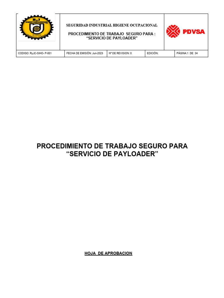 PTS 001 Servicio de Payloader | Descargar gratis PDF | Higiene ...