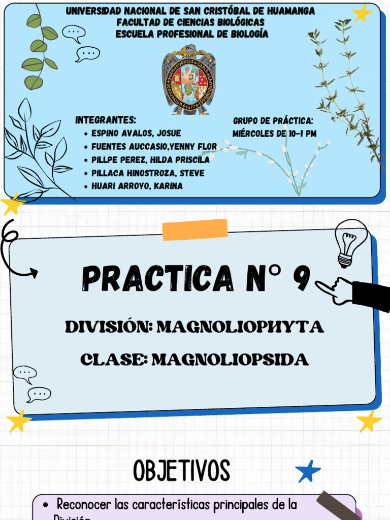 Características de Magnoliophyta | PDF | Ramas de la botánica | Botánica