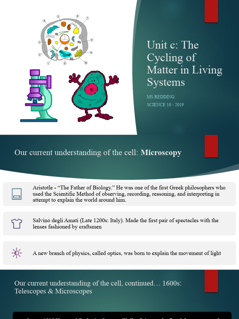 Unit C - Biology Notes 2020 | PDF | Leaf | Microscope