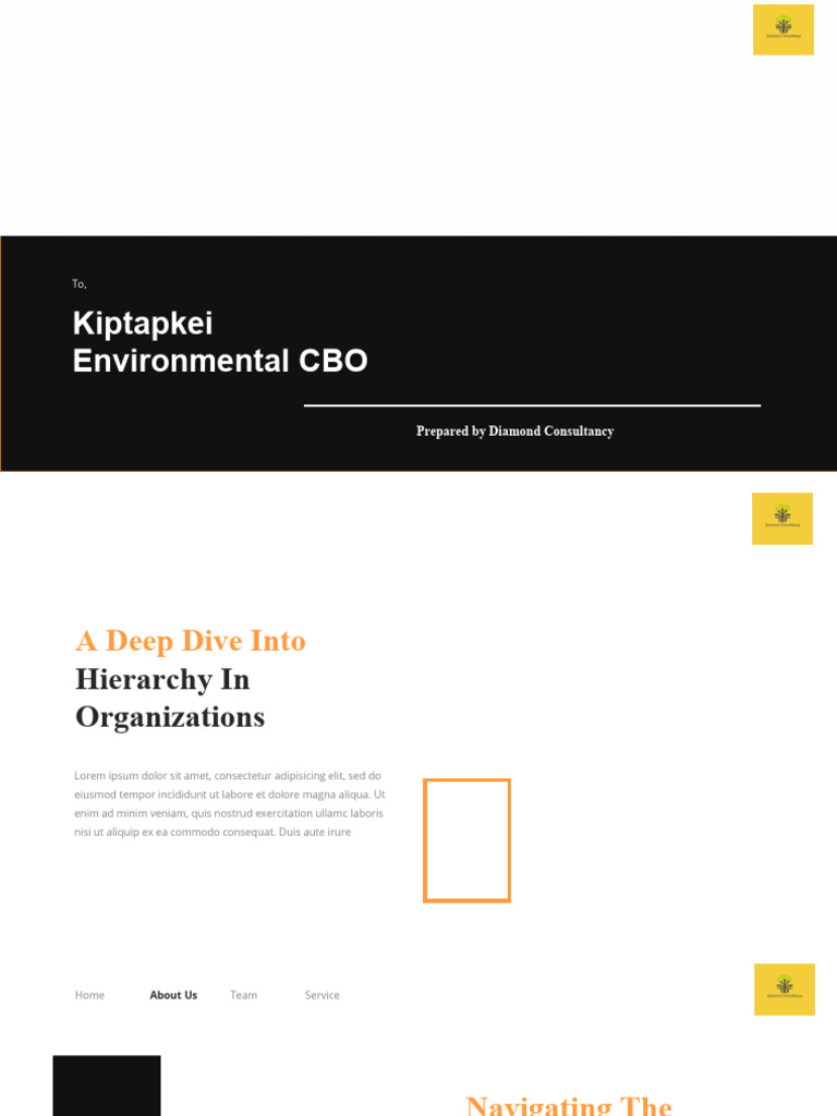 Understanding Organizational Hierarchy | PDF | Business