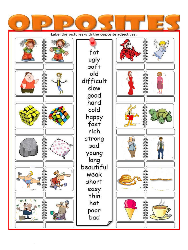 Opposite Adjectives Exercise | PDF